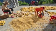 楼台乡：自力更生结硕果  矿山田园谱新篇
