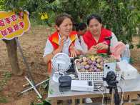 文峰乡培植特色产业  助推村集体经济发展