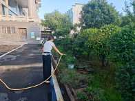 上庸镇：美景映乡村 鲜花富百姓