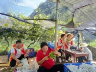 楼台乡：直播走进葡萄园  助农带货促增收