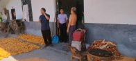 官渡镇：以民为本践初心 细微之处见真情​​ 
