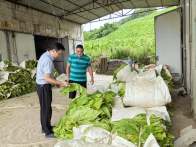 官渡鎮(zhèn)：腳步丈量民情 真情溫暖民心