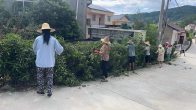 深河鄉(xiāng)：護(hù)好農(nóng)村路  出行更暢通