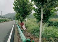 擂鼓鎮(zhèn)：垃圾清零日 鄉(xiāng)村深呼吸