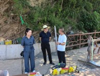 上庸镇：代表脚步丈量民情 真情实干温暖民心
