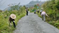麻家渡镇：干群齐心美化家园
