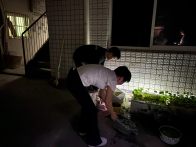 麻家渡镇：环境整治齐动手 携手扮靓新家园