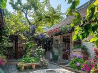 向山村：党建引领绘就和美乡村新画卷