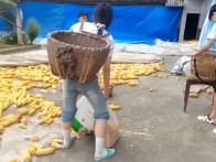 竹坪中學：養(yǎng)成教育結(jié)碩果