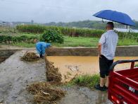 麻家渡镇：踏雨查隐患 实干护平安