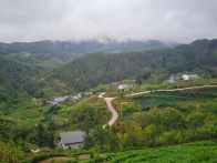 竹坪乡：“微改造”圆梦村民“微心愿”
