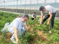 县公共检验检测中心严把农产品质量安全关