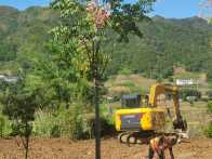 官渡公路养护站启动停车服务区建设