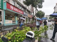 秦古鎮(zhèn)還“綠”于民 共建共享美麗家園