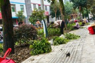 竹坪鄉(xiāng)：道路美起來(lái) 集鎮(zhèn)綠起來(lái)
