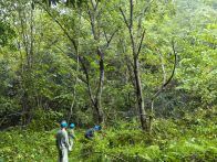 县供电公司开展雨后特巡保电