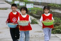 宝丰镇二幼：田间课堂迎秋分  劳动教育润童心