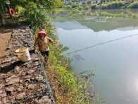 秦古镇：织密巡河网络 守护河清岸绿
