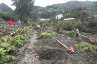 秋植正当时 霍河廊道添新