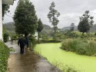 秦古镇：干部全员下沉 筑牢防汛“安全堤坝”