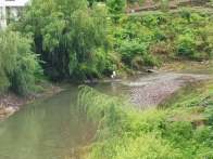 得胜镇：公岗行动焕新颜 河道清理护家园