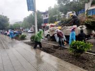 竹坪乡：雨中植绿绘新颜
