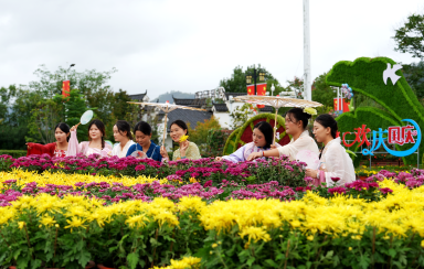 百亩粉黛“浪漫登场”   万盆鲜花扮靓“十一”