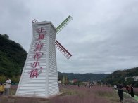 上庸镇：古庸迎客满街巷 国庆赏秋醉湖光