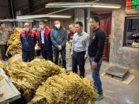 官渡镇秋季烟叶收购有序推进