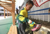 宝丰镇中心幼儿园：环创工作显匠心