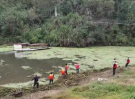 溢水镇开展河道清洁专项行动