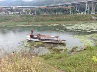 溢水镇：开展汛后“清漂”  守护碧水安澜