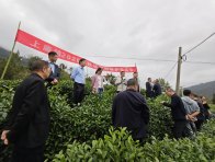 上庸镇按下秋冬农业生产“快进键”