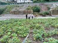 柳林乡：一线纾困解民忧 合力抢修保畅通