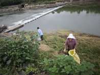 秦古镇全面开展守水护水行动