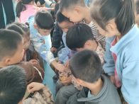 擂鼓镇中心幼儿园：爱粮节粮  不负“食”光