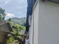 秦古镇组织开展“进村除蜂”专项行动