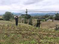 麻家渡镇：抢时秋播忙  让“农闲田”变“效益田”