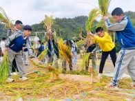 恒升小学开展劳动研学实践活动