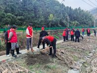 大庙乡：绿满乡村添新景 干群同心植新篇