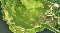 竹山：“林长+”激活绿色发展新动能