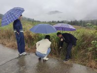 秦古镇开展田间一线巡查护航“茶经济”生命线 秦古镇开展田间一线巡查护航“茶经济”生命线