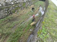 麻家渡镇：干群携手齐上阵 河道旧貌换新颜