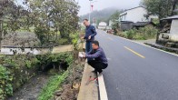 大庙乡拐枣迎来大丰收