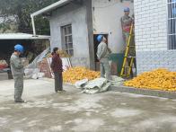 县供电公司：“电”亮秋收路  护航丰收季