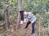 深河乡：筑牢病虫防治防线守护森林生态安全