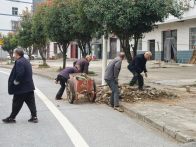 溢水镇：环境整治常态化 乡村颜值节节高​