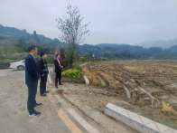 官渡镇：金秋沃野田间忙 油菜播种绘“丰”景