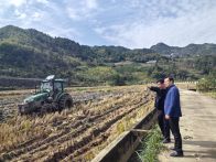 官渡镇多措并举抓秋冬农业生产