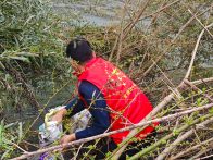 官渡镇：加大生态环境保护  营造美丽武陵小镇